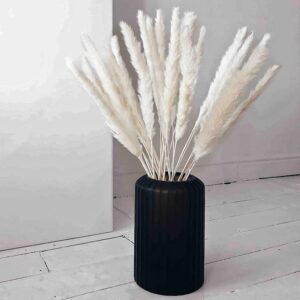 Dried Pampas Grass Natural 100% Non Toxic Fluffy