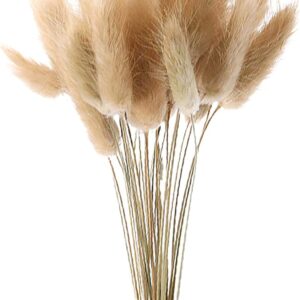 Generic Dried Bunny Tails